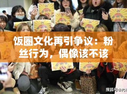 饭圈文化再引争议：粉丝行为，偶像该不该买单？